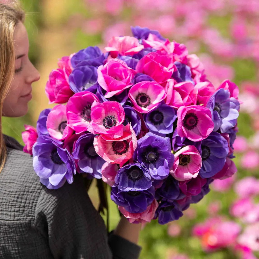 VEGSOW Anemone Bulbs - Edge of Dusk Mix