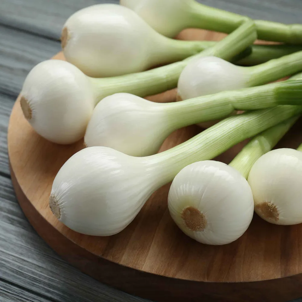 VEGSOW Crystal White Wax Onion Seeds for Pearl and Pickling
