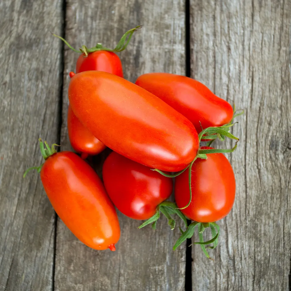 VEGSOW Roma Tomato Seeds - Heirloom Vegetable Seeds for Home Gardening