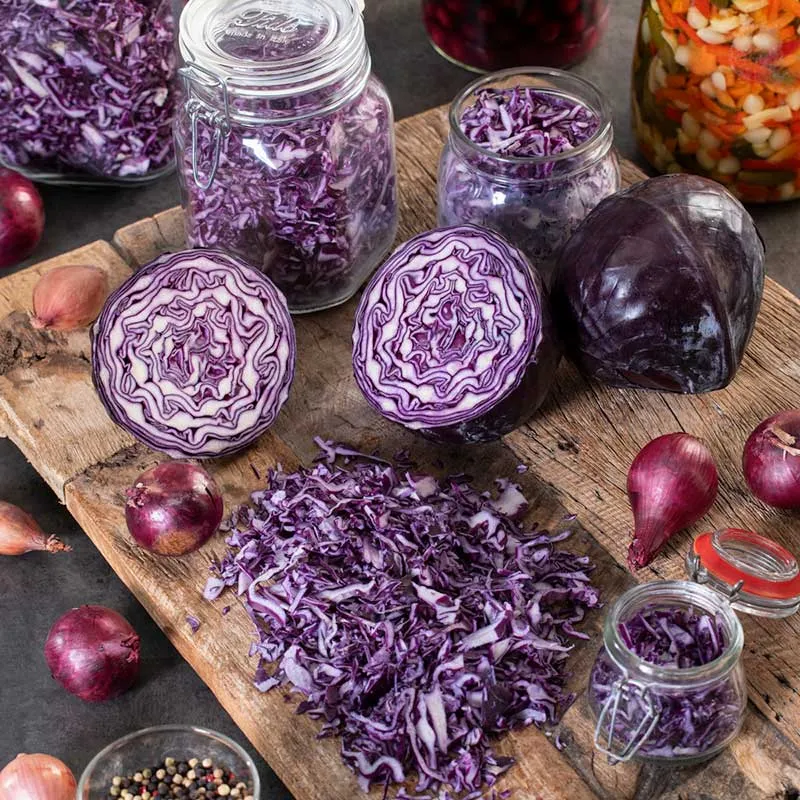 VEGSOW Red Express Cabbage Seeds - Heirloom Variety for Garden and Microgreens