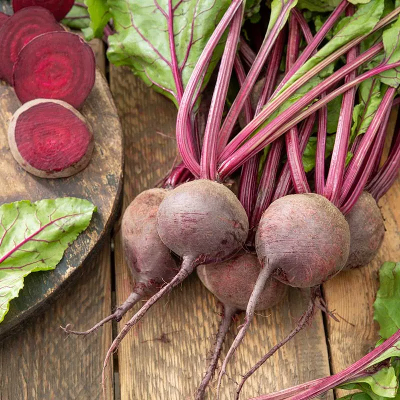 VEGSOW Organic Detroit Dark Red Beet Seeds - Heirloom Vegetable Seeds