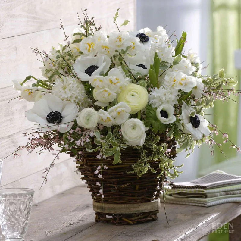 VEGSOW White Garden Collection - Assorted Flower Seeds
