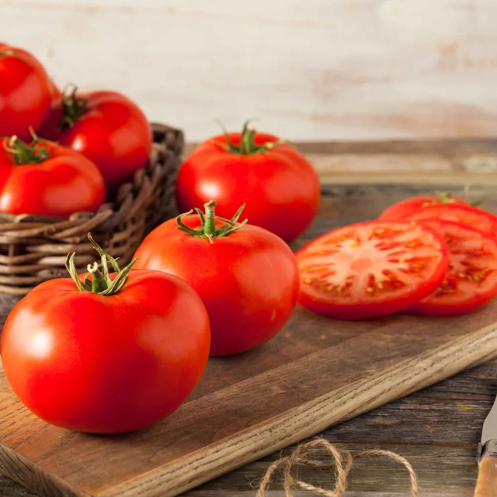 VEGSOW Beefmaster Tomato Seeds - Large Indeterminate Heirloom Variety