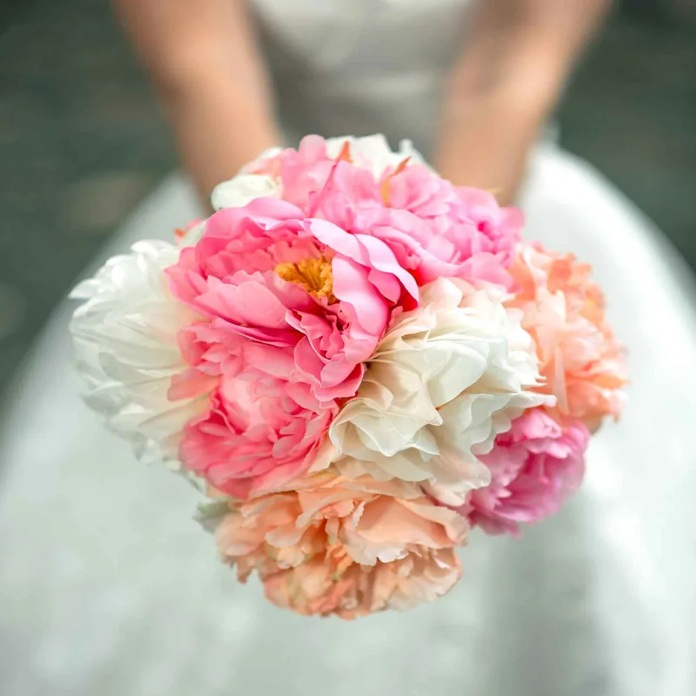 VEGSOW Peony Roots - Jumbo Bridal Bouquet Bare Root Perennials