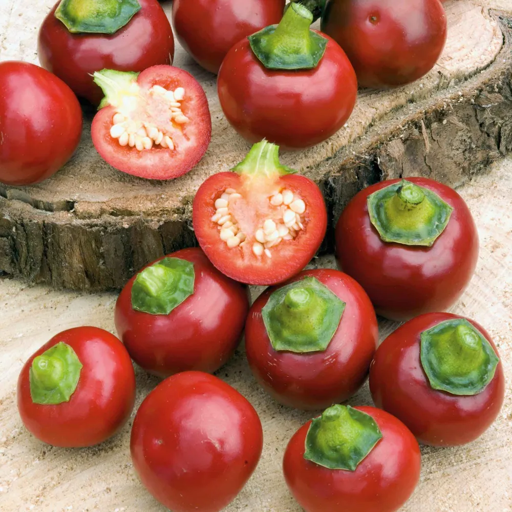 VEGSOW Red Cherry Sweet Pepper Seeds - Heirloom Vegetable Seeds for Home Garden