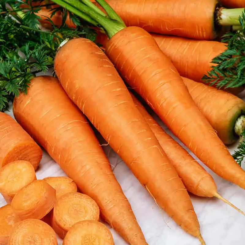 VEGSOW Danvers 126 Carrot Seeds - Heirloom Vegetable Seeds