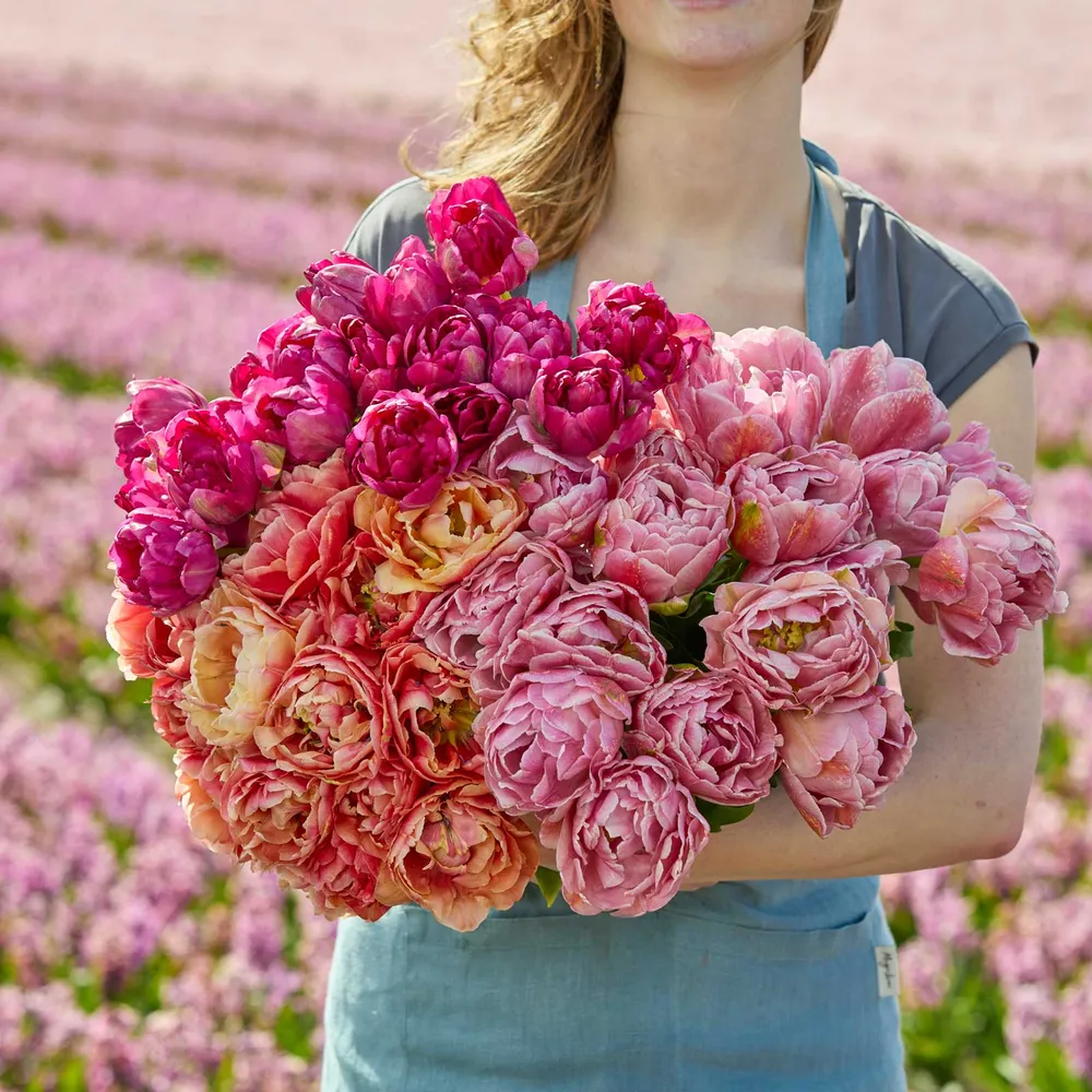 VEGSOW Tulip Bundle - Berry Blush
