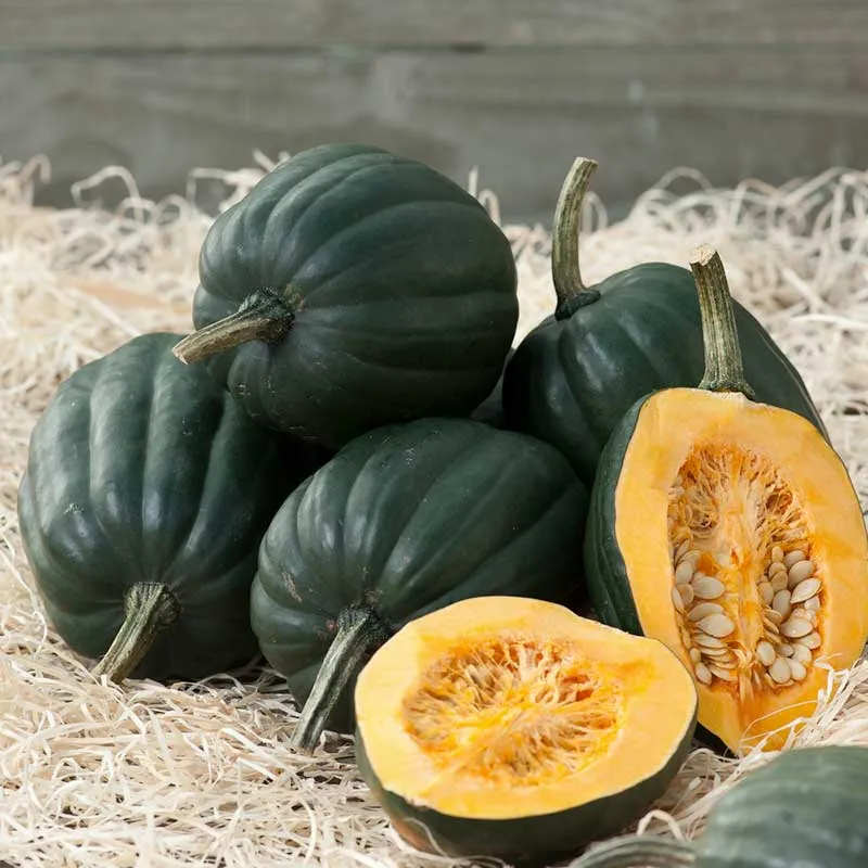 VEGSOW Organic Acorn Table Queen Squash Seeds