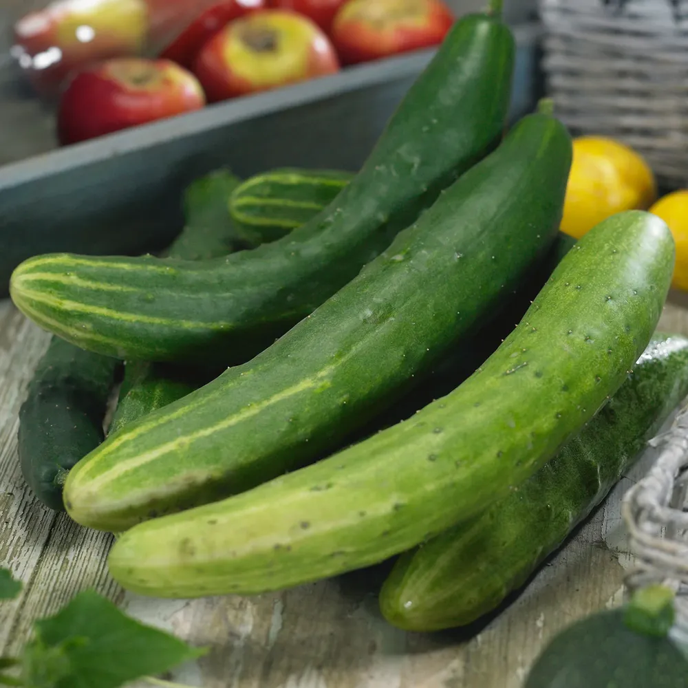 VEGSOW Garden Sweet Burpless Cucumber Seeds - Non-GMO Vegetable Seeds for Home Gardening