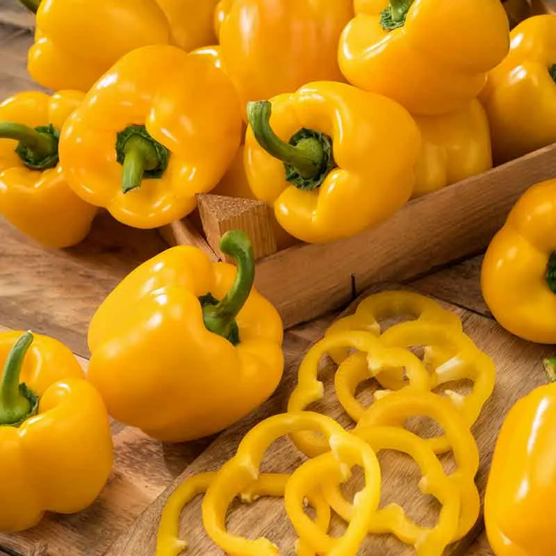VEGSOW California Wonder Yellow Pepper Seeds - Heirloom Vegetable Seeds