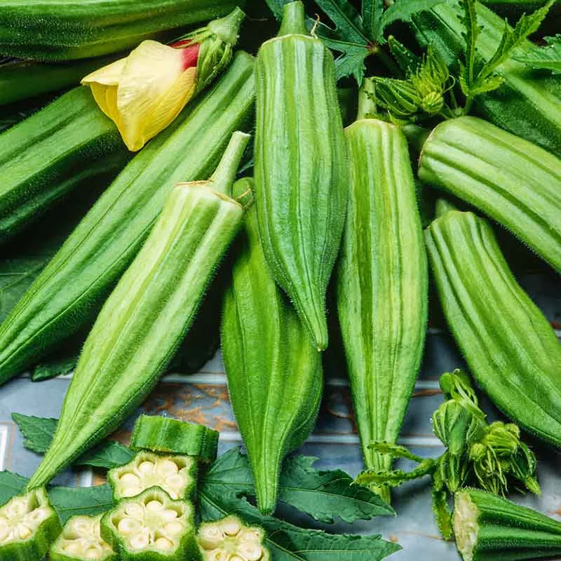 VEGSOW Clemson Spineless Okra Seeds - Heirloom Vegetable Seeds for Home Gardening