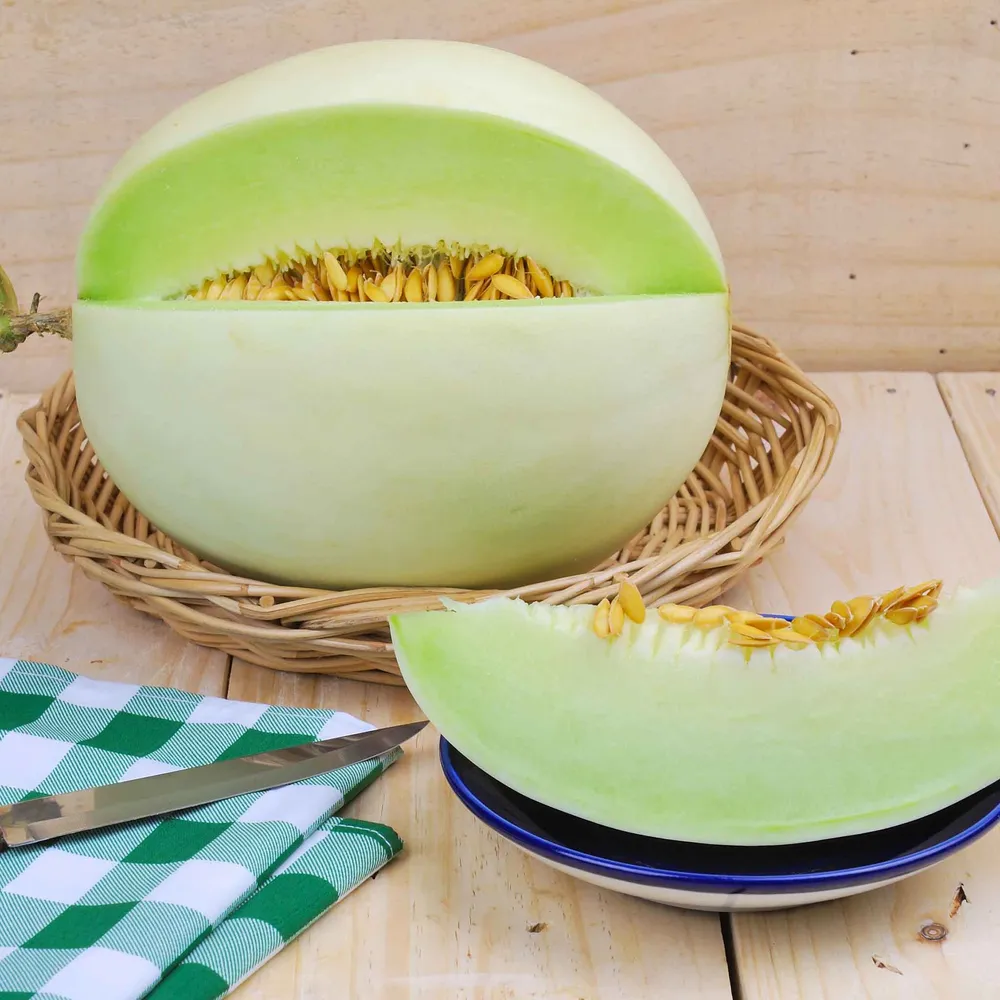 VEGSOW Honeydew Green Melon Seeds - Heirloom Garden Planting Variety