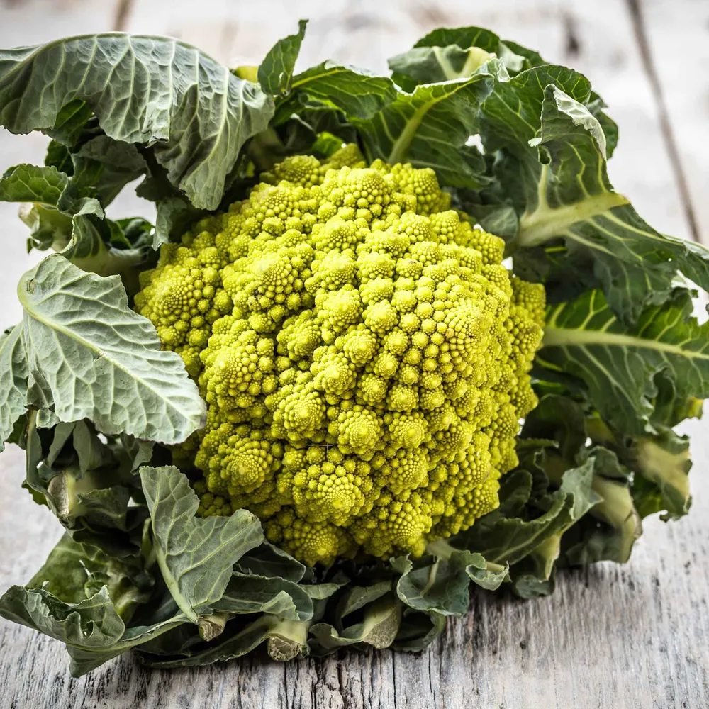 VEGSOW Romanesco Broccoli Seeds - Heirloom Vegetable Seeds for Home Gardening