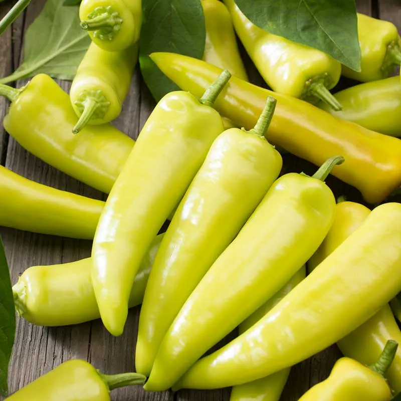 VEGSOW Hungarian Yellow Hot Wax Pepper Seeds - Heirloom Vegetable Seeds for Home Gardening