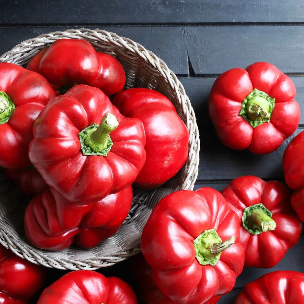 VEGSOW Pimento Sweet Pepper Seeds - Heirloom Vegetable Seeds for Home Gardening