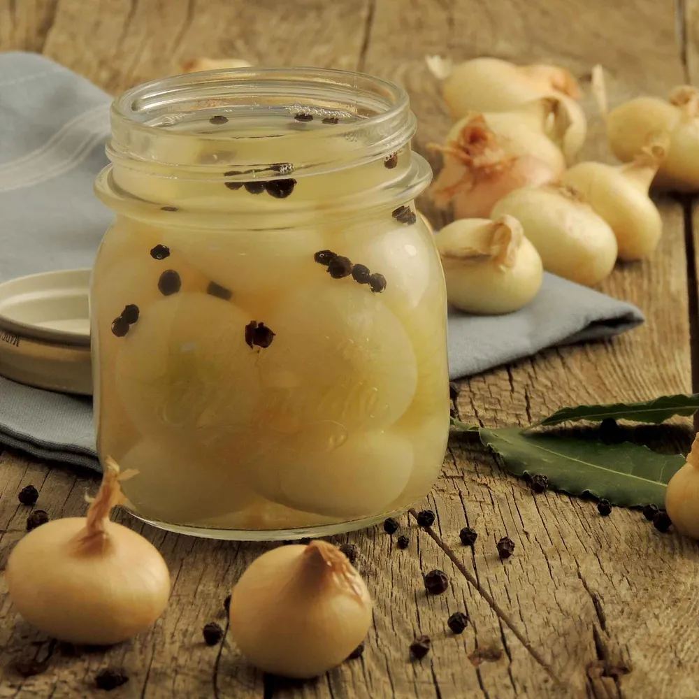 VEGSOW Cipollini Yellow Onion Seeds - Short Day Variety