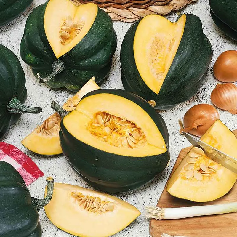 VEGSOW Table King Bush Squash Seeds - Winter Squash Heirloom Variety
