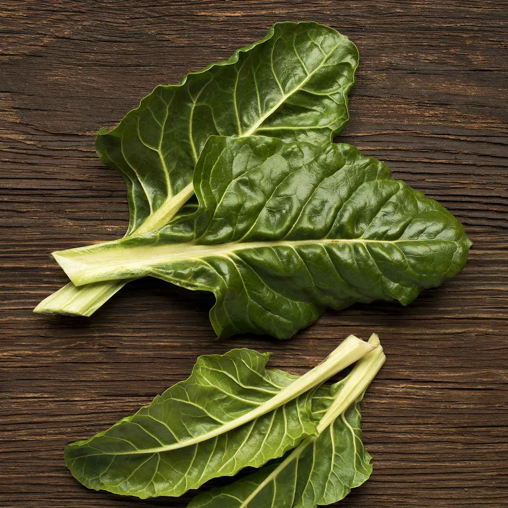 VEGSOW Perpetual Spinach Seeds - Swiss Chard Heirloom Vegetable Seeds