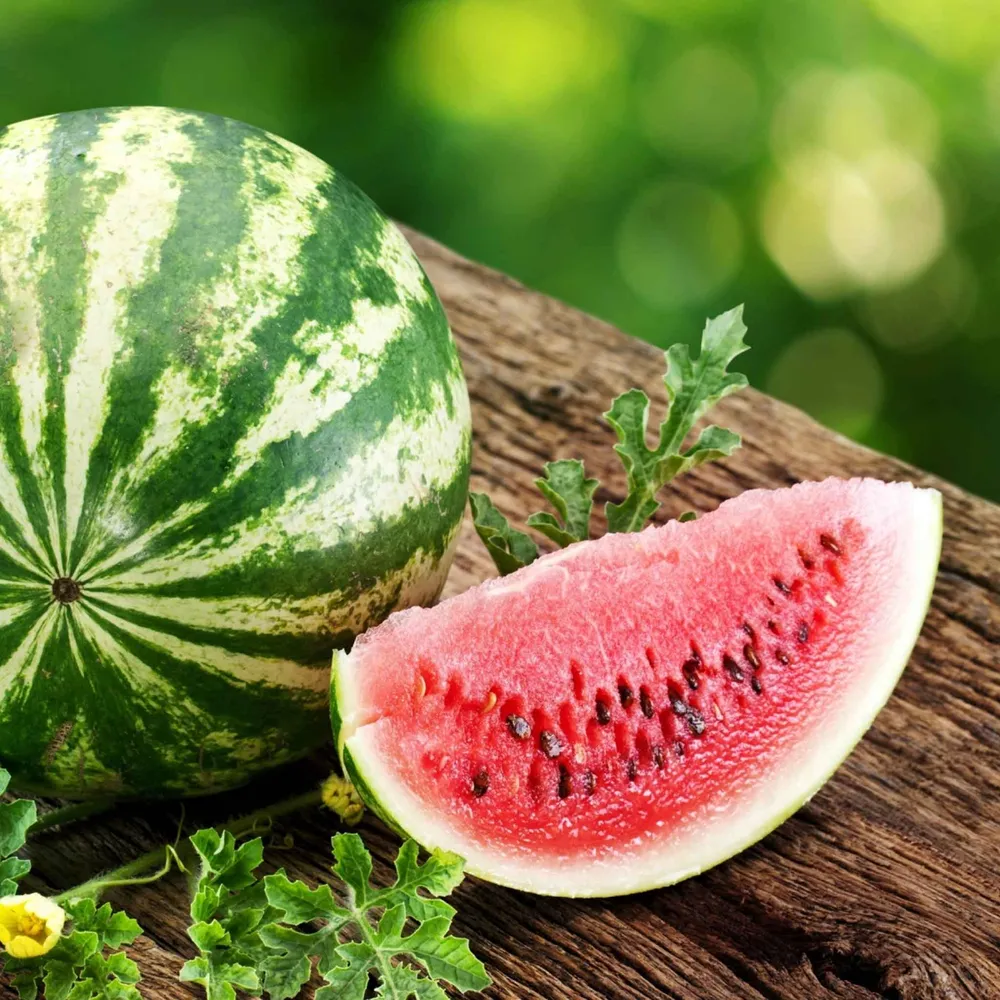 Dixie Queen Watermelon Seeds - Heirloom Garden Variety