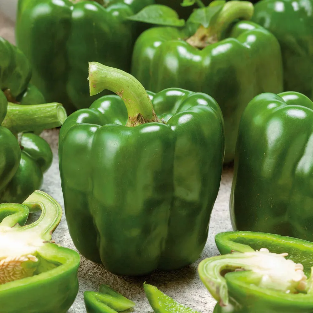 VEGSOW Emerald Giant Sweet Pepper Seeds (Organic)