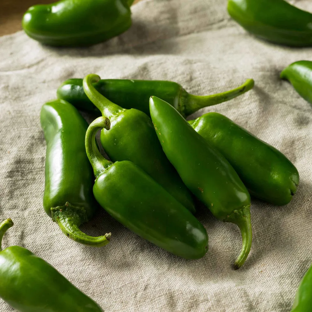VEGSOW Jalapeno Tam Pepper Seeds - Heirloom Vegetable Seeds for Home Gardening