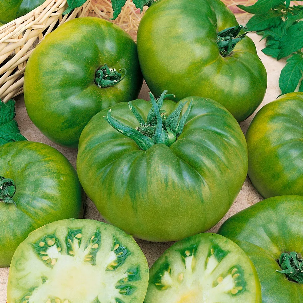 VEGSOW Cherokee Green Tomato Seeds - Heirloom Garden Vegetable Seeds