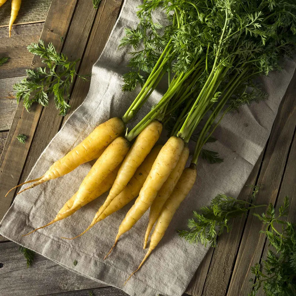 VEGSOW Solar Yellow Carrot Seeds - Heirloom Vegetable Seeds
