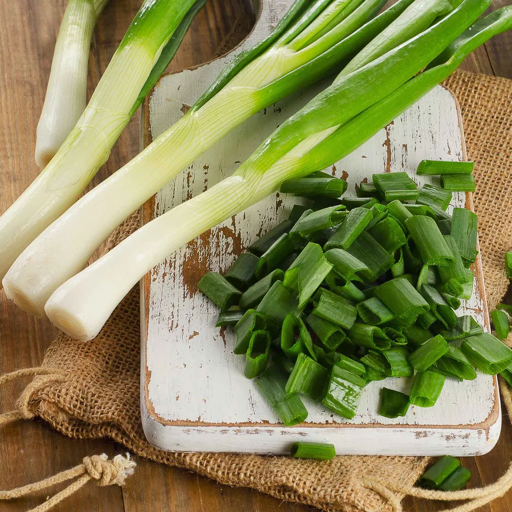 VEGSOW Organic Tokyo Long White Onion Seeds - Heirloom Bunching Onion