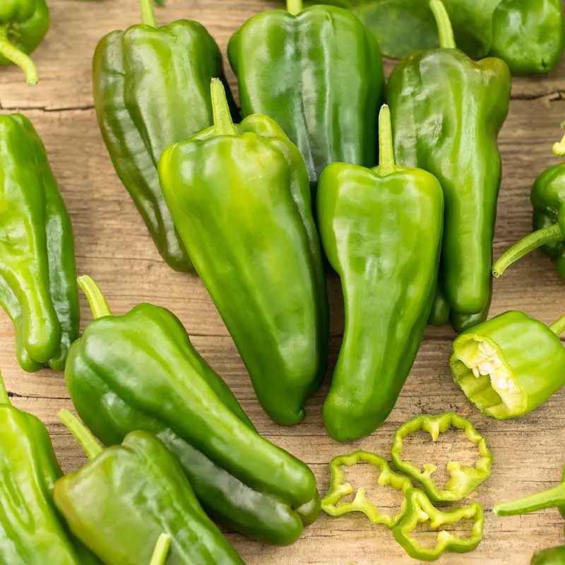 VEGSOW Padron Pepper Seeds - Heirloom Vegetable Seeds for Home Gardening