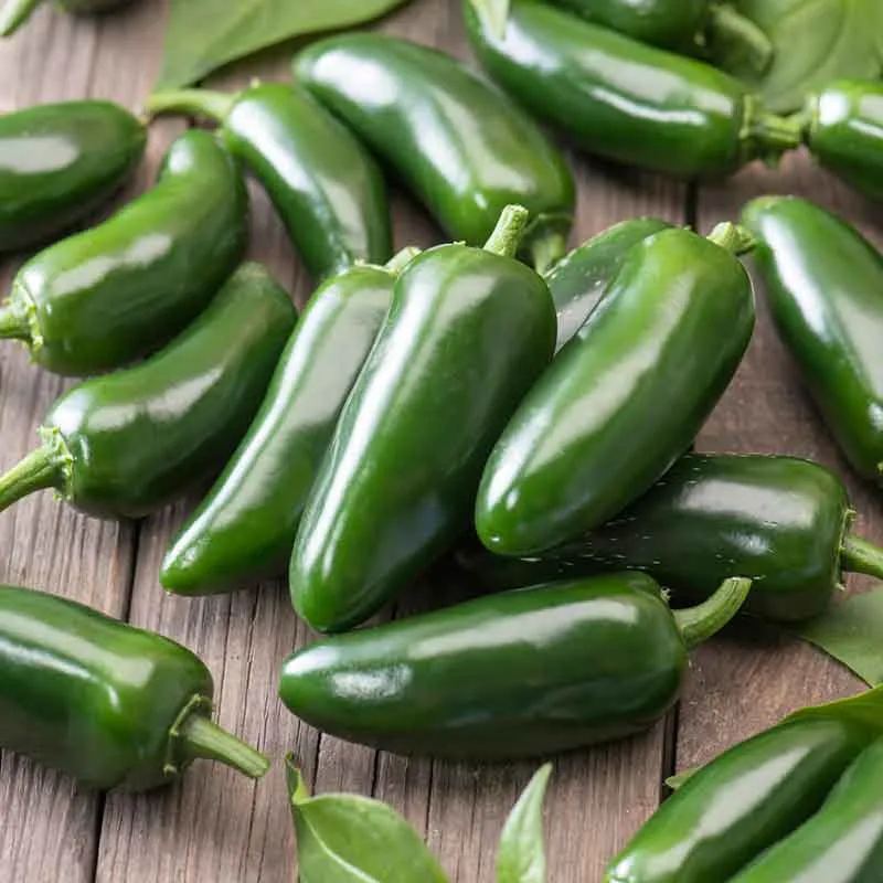 VEGSOW Organic Jalapeno Early Pepper Seeds - Heirloom Vegetable Planting Seeds
