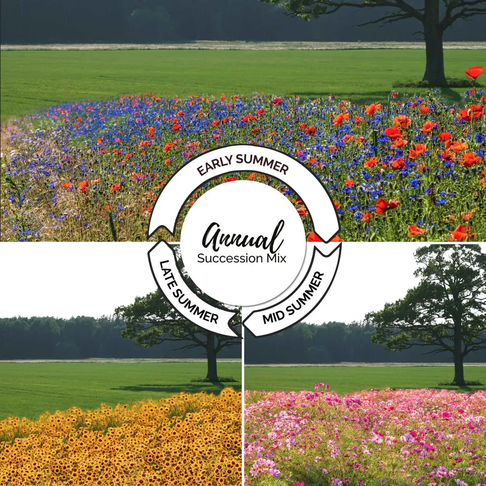 VEGSOW Endless Summer Annual Succession Mix - High Germination Sprouting Seeds