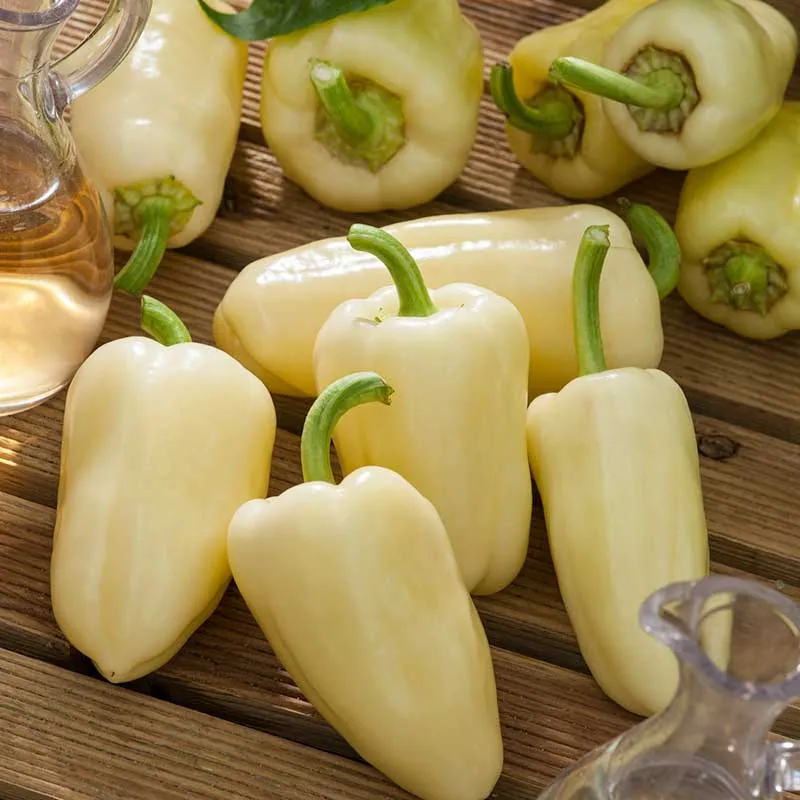 VEGSOW White Bell Pepper Seeds - Heirloom Vegetable Seeds for Home Gardening