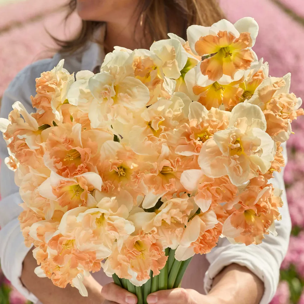 Daffodil Bundle - Butterfly Blend Flower Bulbs