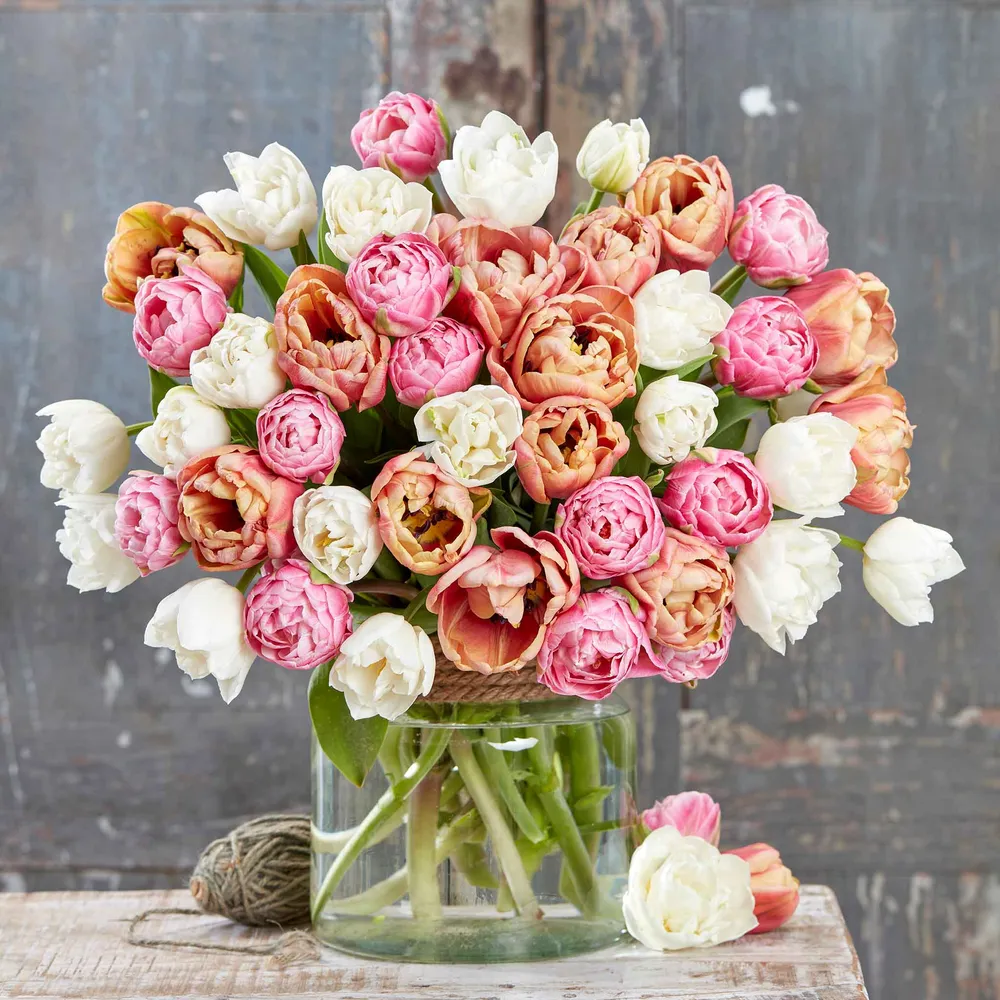 VEGSOW Tulip Bulbs - La Belle Epoque Bright Mix