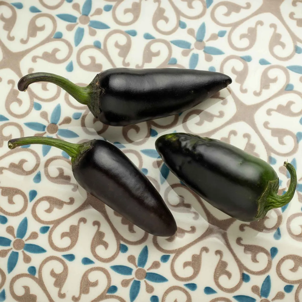 VEGSOW Jalapeno Purple Pepper Seeds - Heirloom Vegetable Seeds