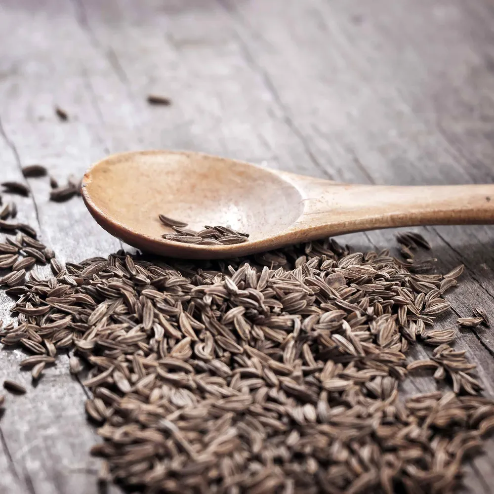 VEGSOW Cumin Seeds for Sprouting and Culinary Seasoning