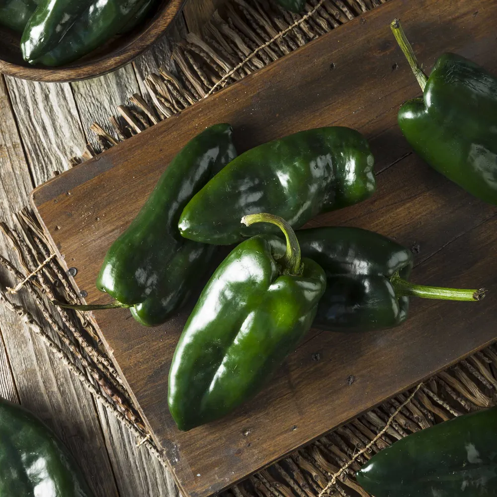 VEGSOW Ancho or Poblano Pepper Seeds - Heirloom Vegetable Gardening Seeds