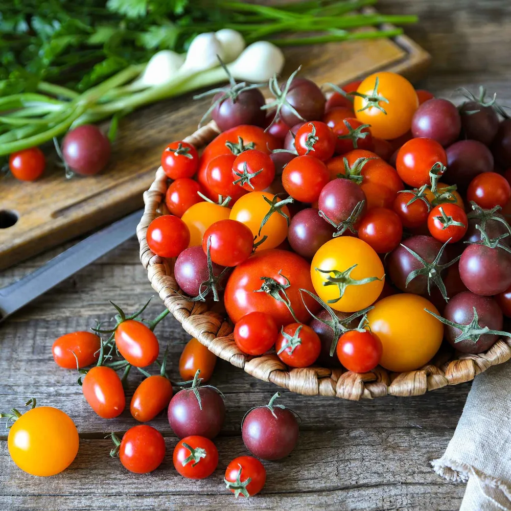 VEGSOW Rainbow Cherry Tomato Seeds - Assorted Heirloom Mixture