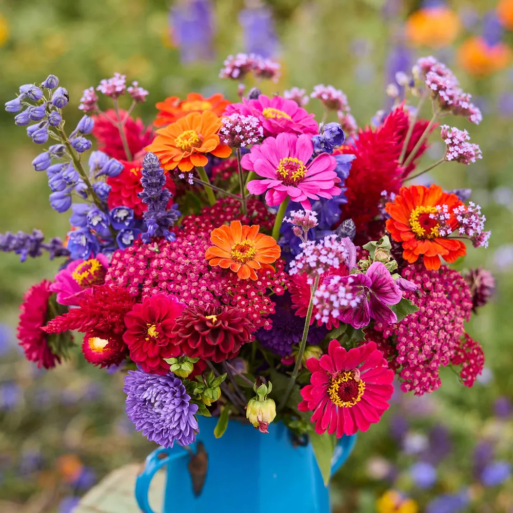 VEGSOW Summer Sangria Bouquet Bundle - Mixed Heirloom Garden Seeds