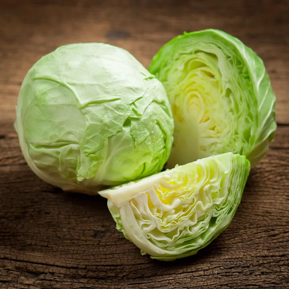 VEGSOW Cabbage Seeds - All Seasons Variety