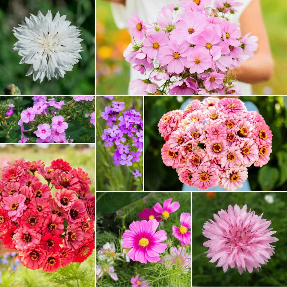 VEGSOW Tickled Pink - Pink Flower Seed Mix