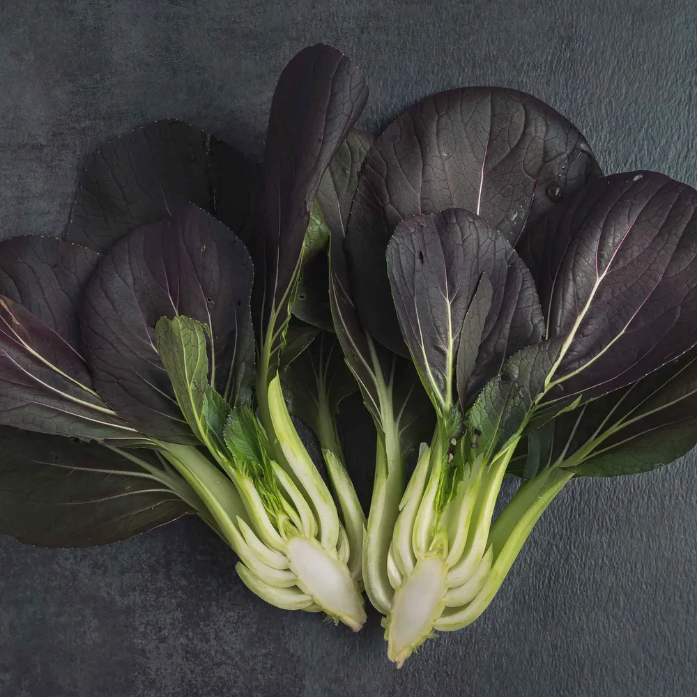VEGSOW Red Inferno Pak Choy Seeds - Heirloom Chinese Cabbage Seeds