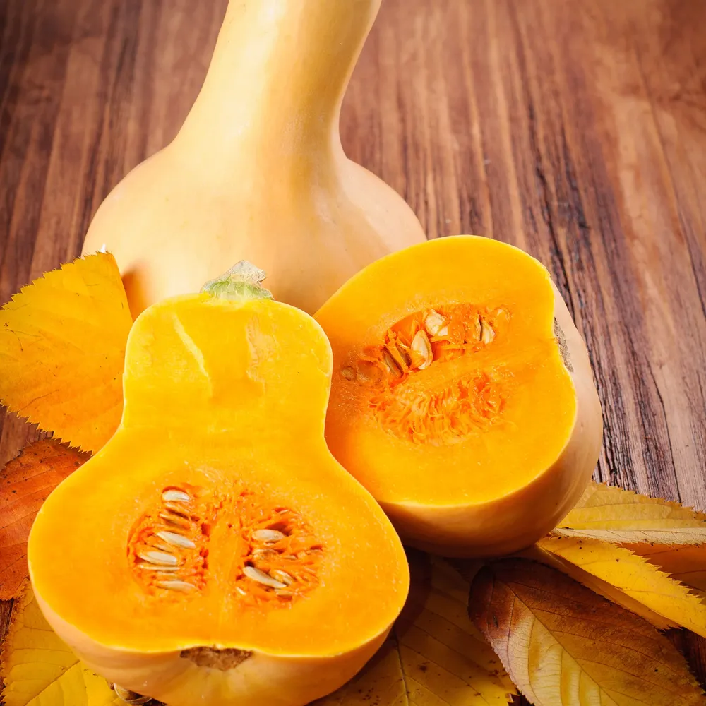 VEGSOW Waltham Butternut Squash Seeds - Organic Heirloom Vegetable Seeds