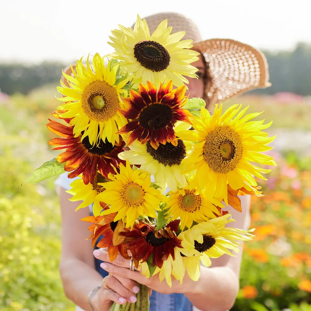 VEGSOW Sunflower Seeds - Formula Mix