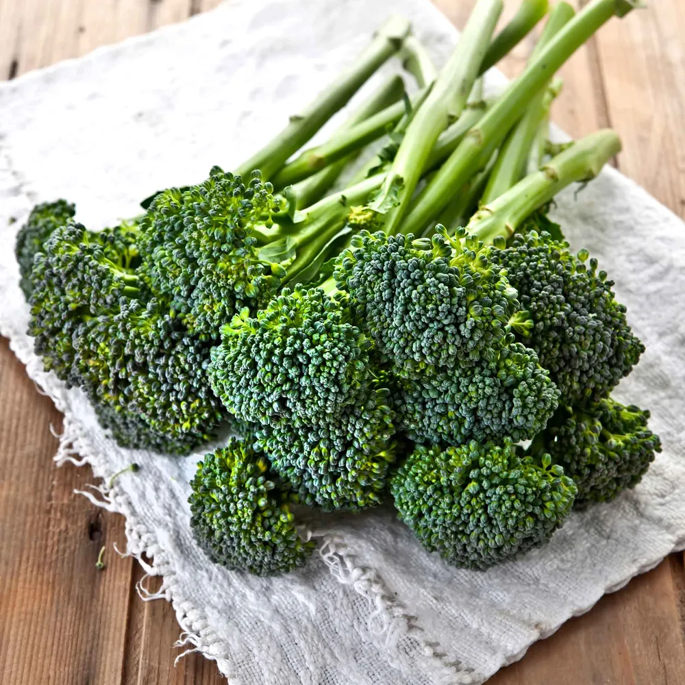 VEGSOW Di Ciccio Broccoli Seeds - Heirloom Vegetable Seeds for Home Gardening