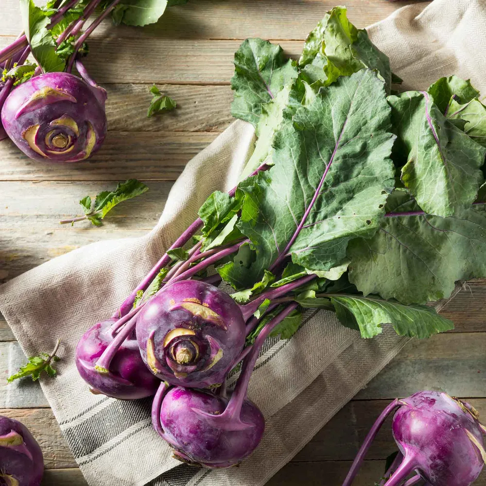 VEGSOW Purple Vienna Kohlrabi Seeds - Heirloom Vegetable Seeds for Home Gardens
