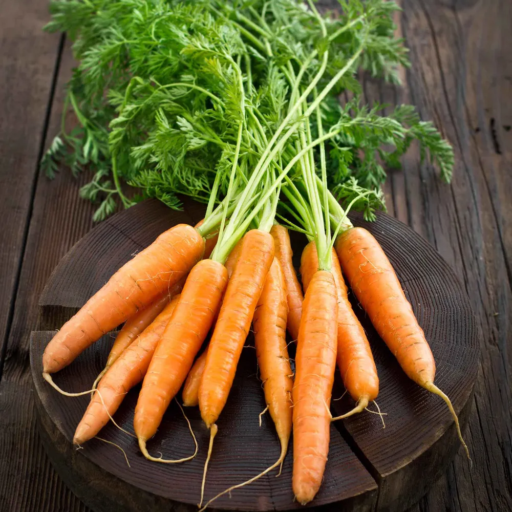 VEGSOW Little Finger Carrot Seeds - Heirloom Nantes Variety for Home Gardens