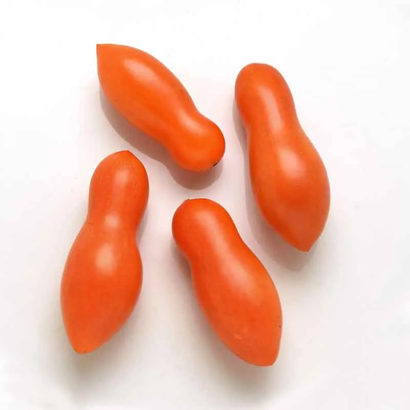 VEGSOW Sun Dipper Tomato Seeds - High-Yield Garden Vegetable Seeds