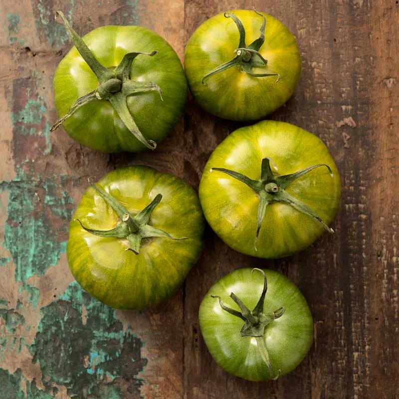 VEGSOW Green Zebra Tomato Seeds - Heirloom Vegetable Seeds for Home Gardening
