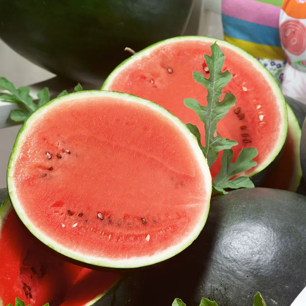 VEGSOW Sugar Baby Bush Watermelon Seeds - Compact Heirloom Variety